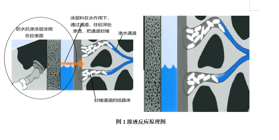 渗透反应原理图.jpg